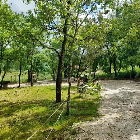Vakantieboerderij Quinta Da Bolota Small *