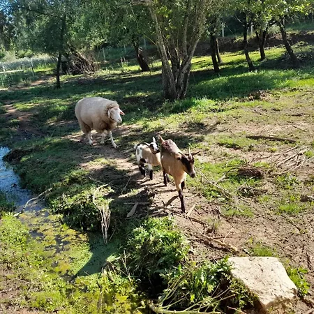 Quinta Da Bolota Double *
