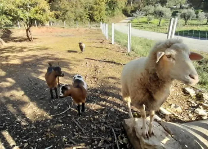 Alojamento de Turismo Rural Quinta Da Bolota Double *