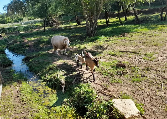 Quinta Da Bolota Double *