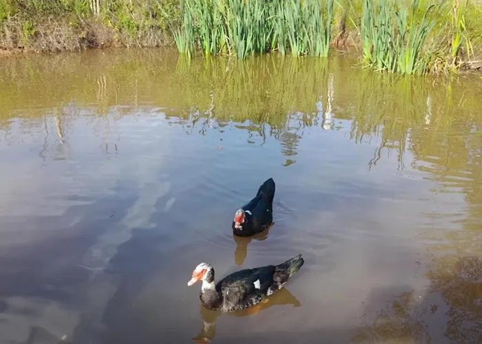 Farmház Quinta Da Bolota Double